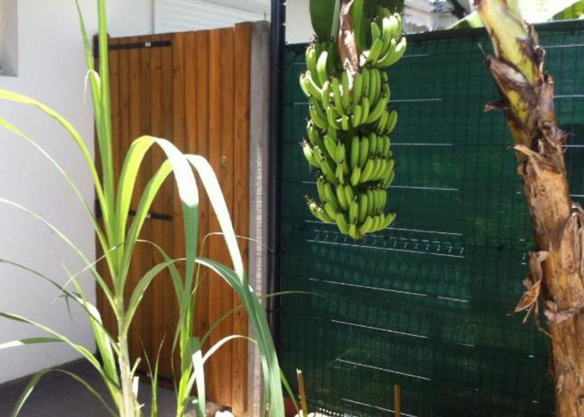 Grande-Terre Le Gosier Garden