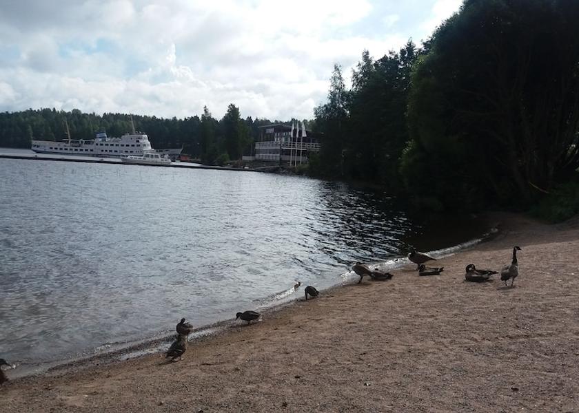 South Karelia Lappeenranta Fishing