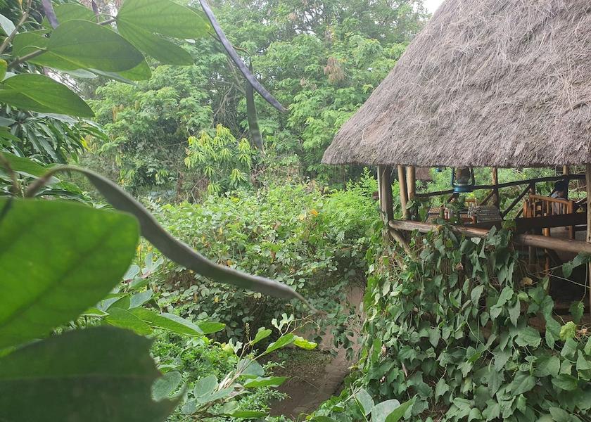 Western Region Kichwamba Exterior