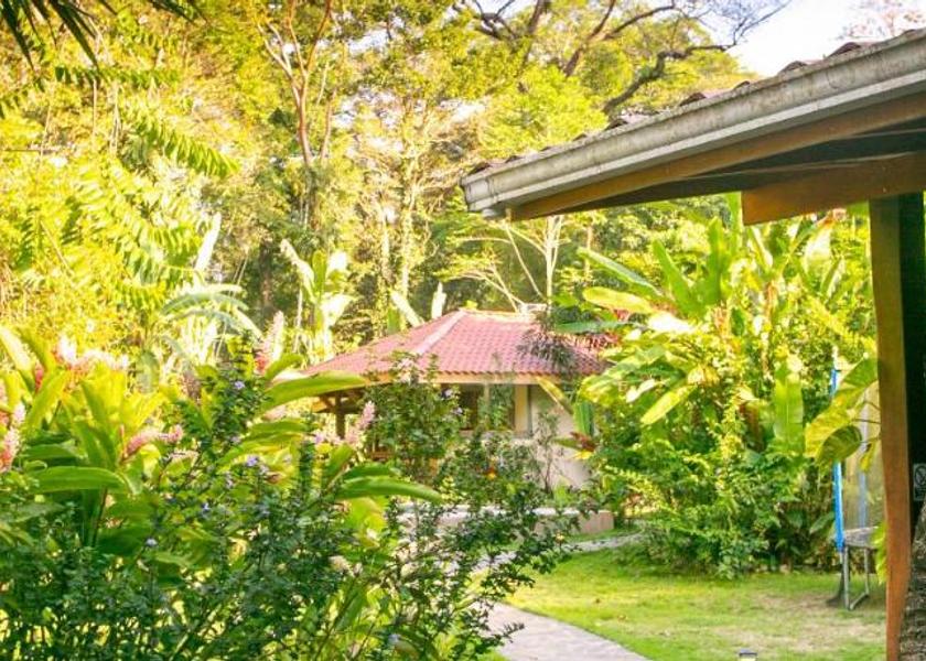 Limón Province Cahuita Garden