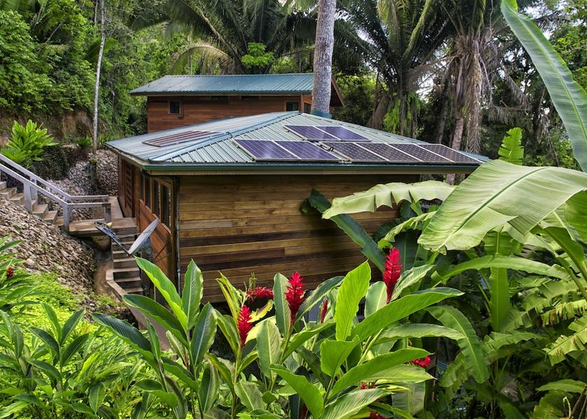 Cayo Benque Viejo Del Carmen Garden