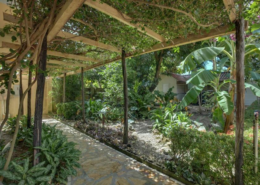 Stann Creek Hopkins Garden