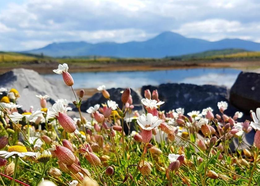 Surrounding environment