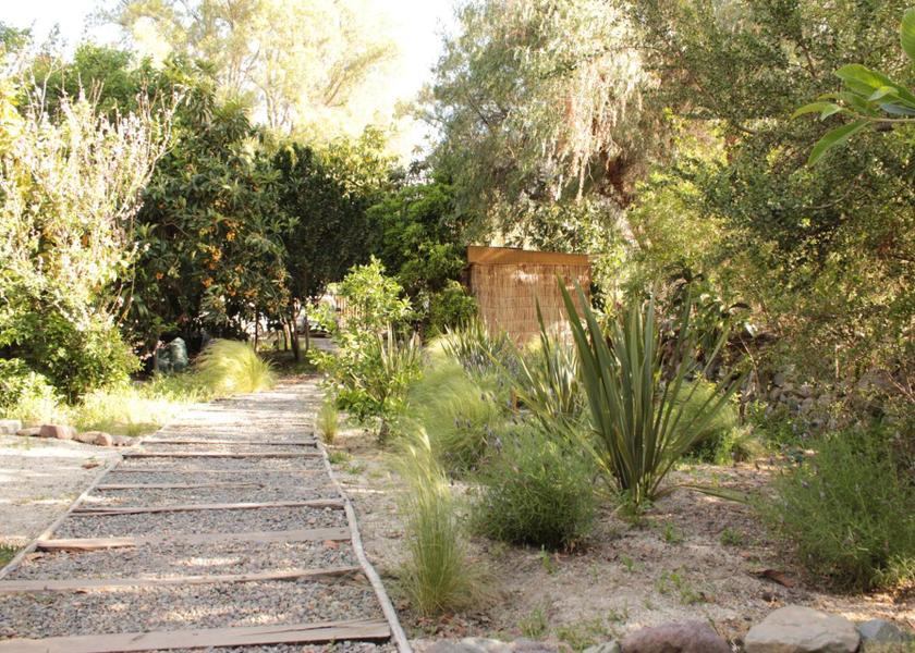 Coquimbo Region Vicuña 