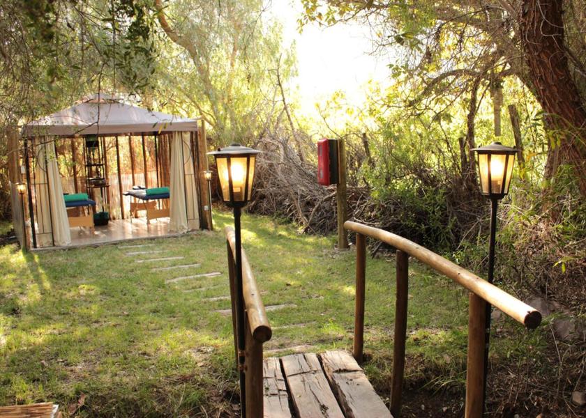 Coquimbo Region Vicuña 