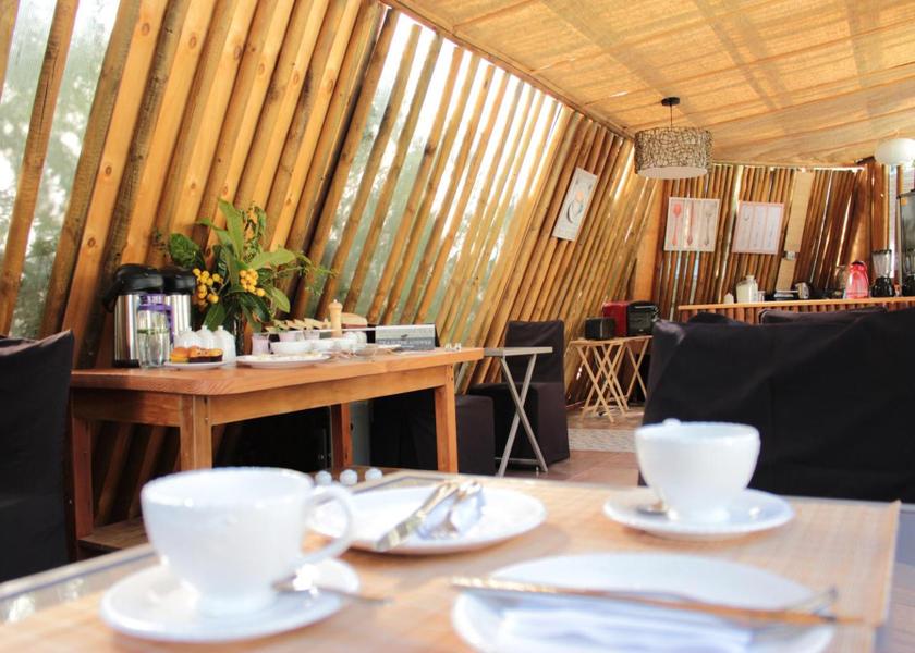 Coquimbo Region Vicuña 