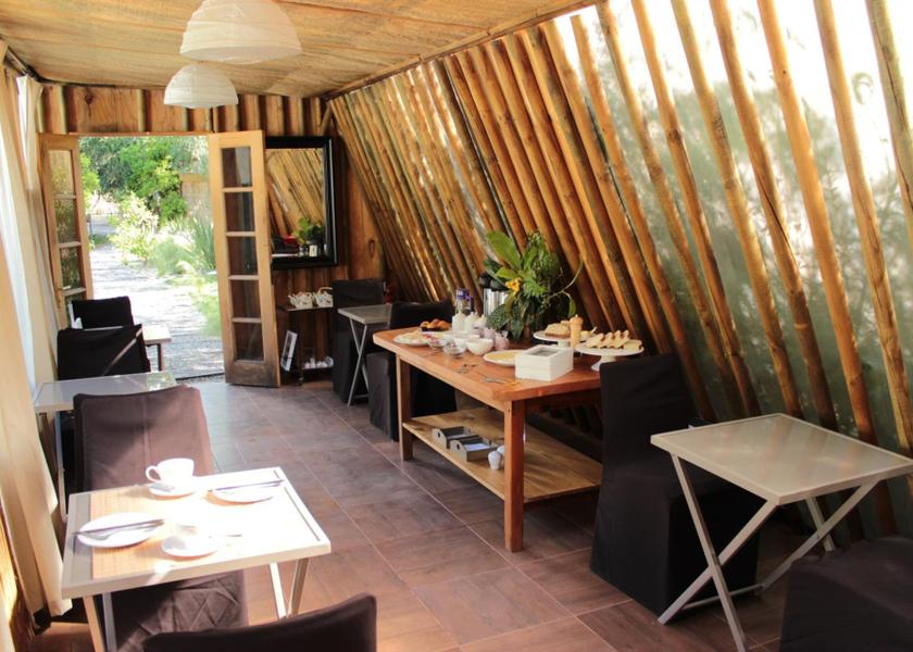 Coquimbo Region Vicuña 