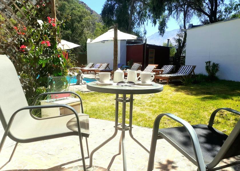 Coquimbo Region Vicuña 