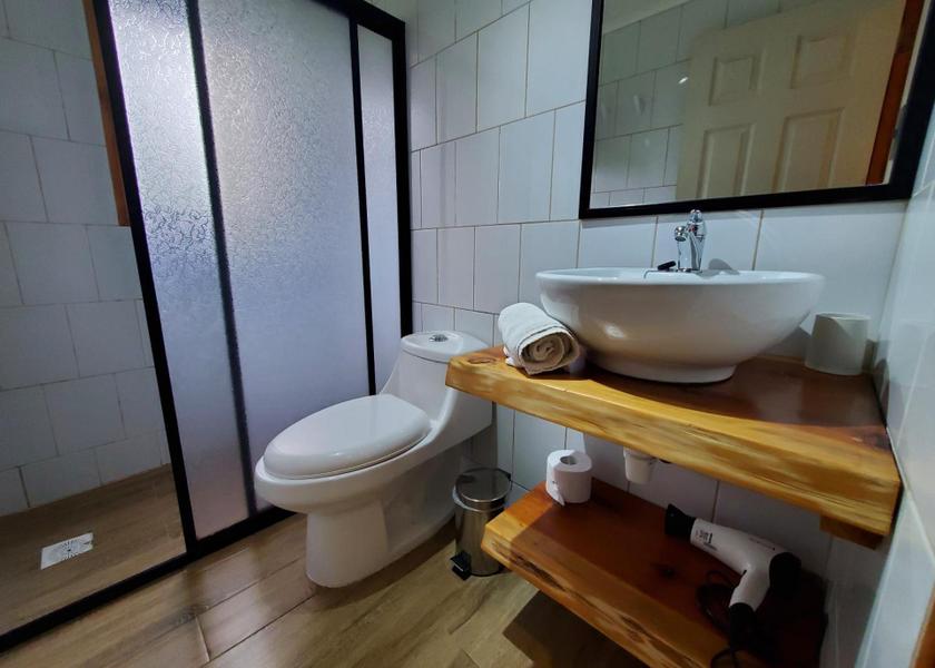 Araucanía Region Pucón Double Room with Private Bathroom