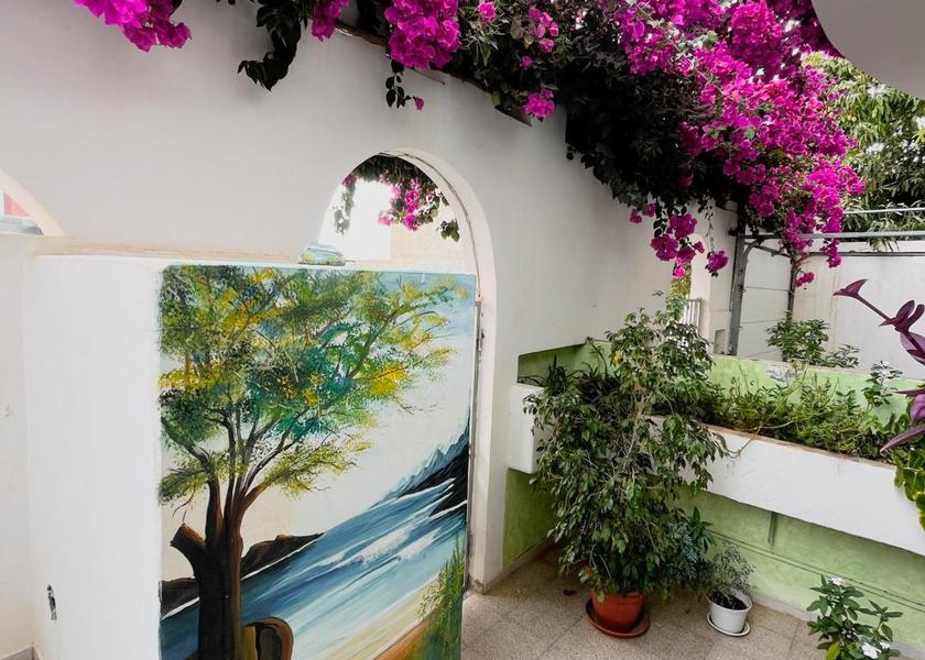 Praia Garden