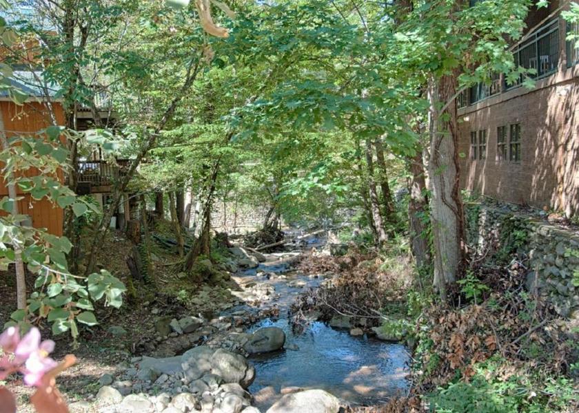 Tennessee Gatlinburg Surrounding environment