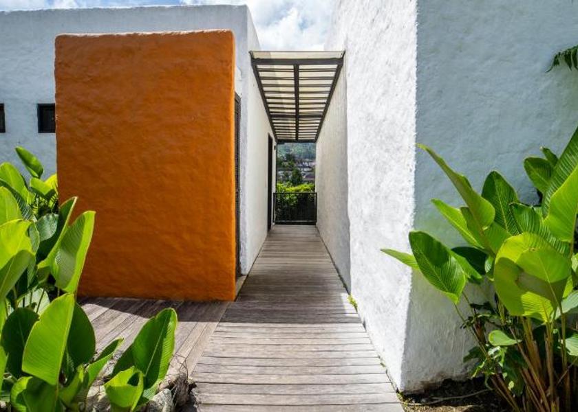Quindío Salento 