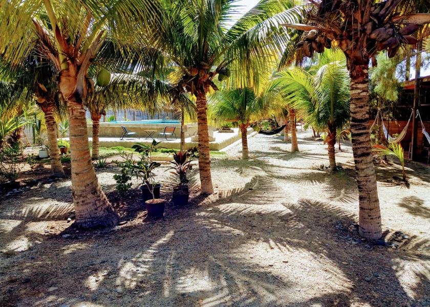 Piura Region Máncora Garden