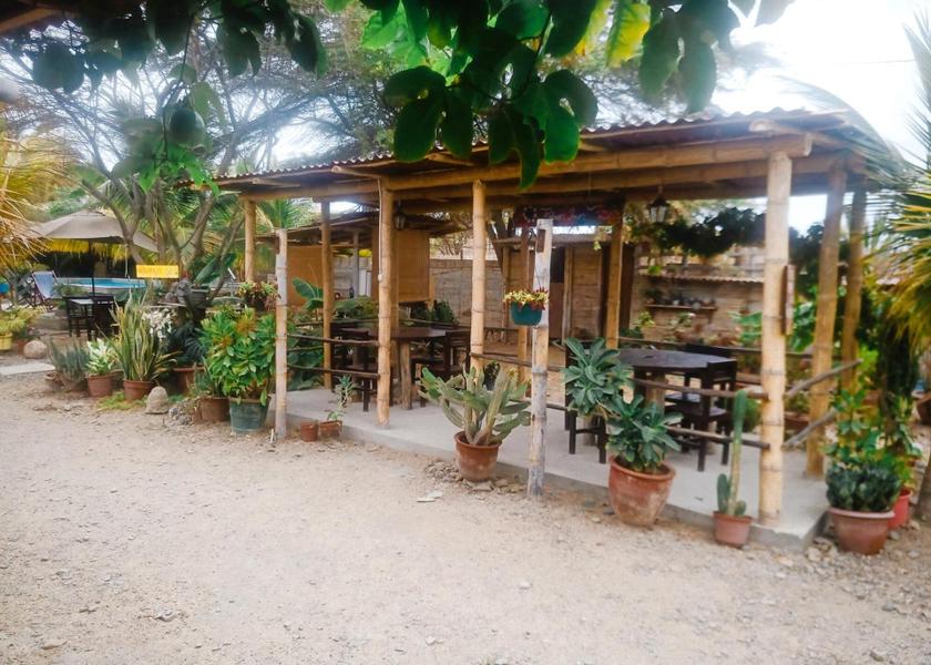 Piura Region Máncora Garden