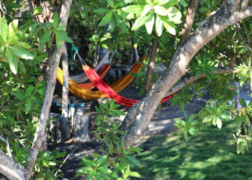 Galápagos Puerto Villamil Garden