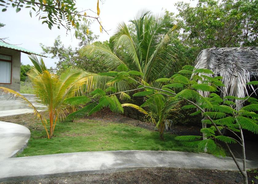 Galápagos Puerto Villamil 