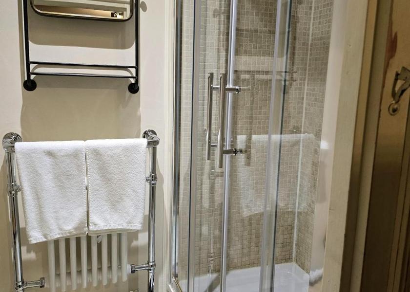 Wales Machynlleth Deluxe Double Room with Shower