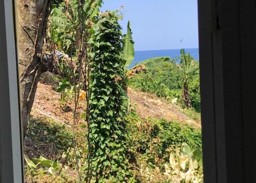 Portland Port Antonio Surrounding environment