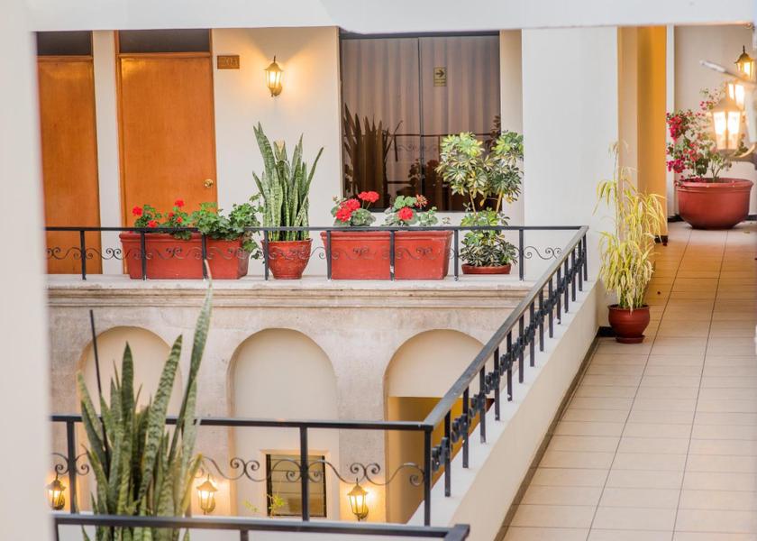 Arequipa Region Arequipa Garden