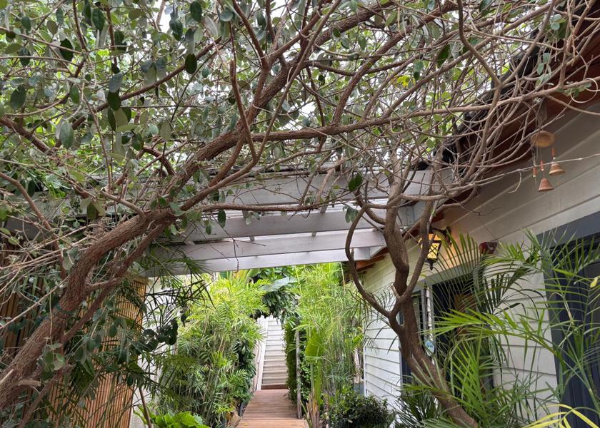 Northern Had Nes Garden