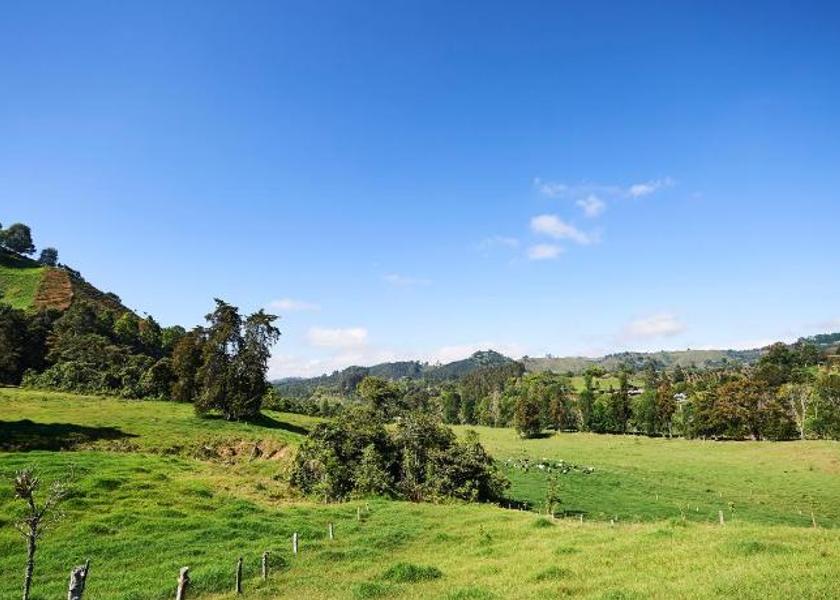 Quindío Salento View