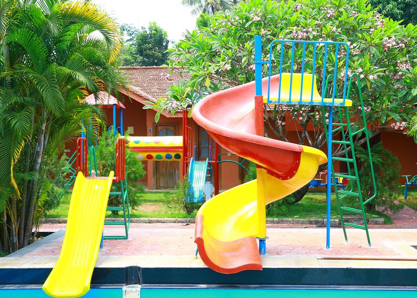 Kerala Kochi Outdoors