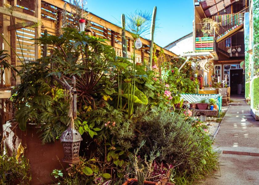 Surrounding environment