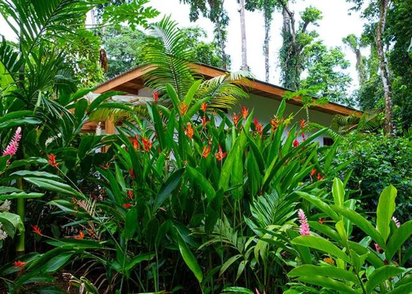 Limón Province Cahuita Exterior view