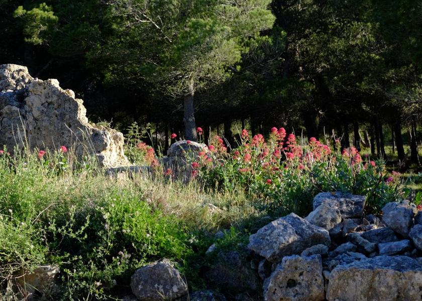 Occitanie Leucate Attractions