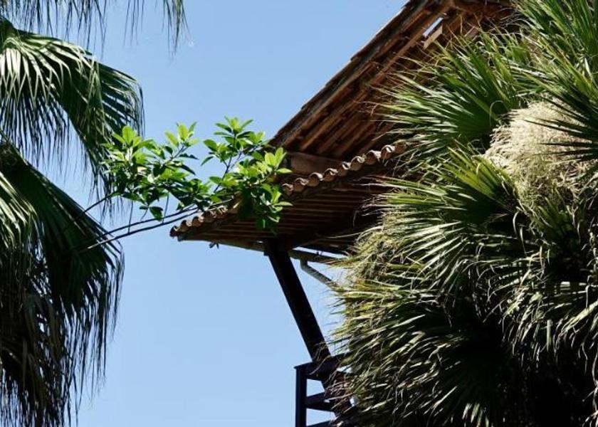 Rio de Janeiro State Paraty Surrounding environment