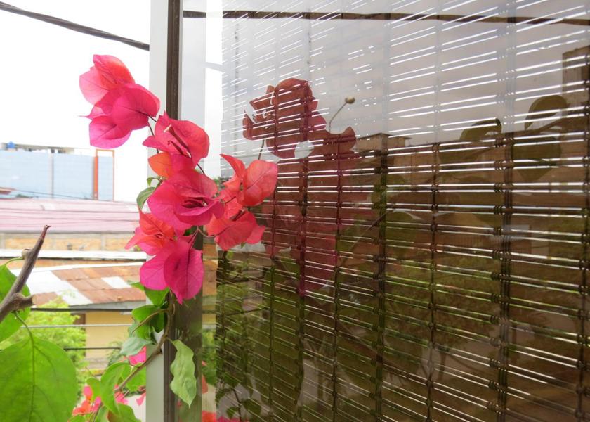 San Martin Region Tarapoto Facilities