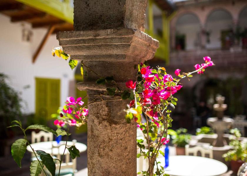 Cusco Region Cusco Food and beverages