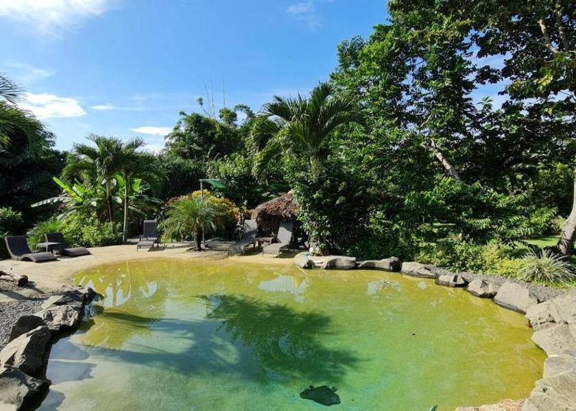 Panamá Oeste Province San Carlos Swimming pool