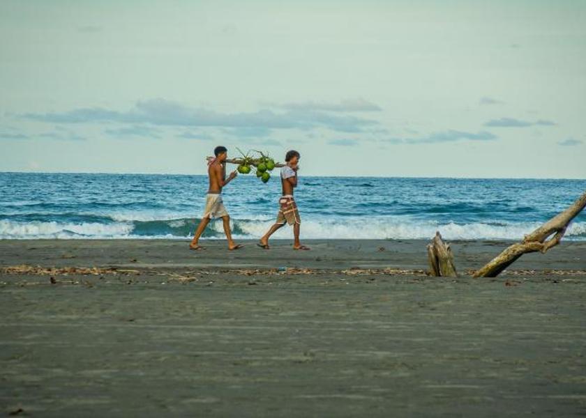 Limón Province Cahuita Beach