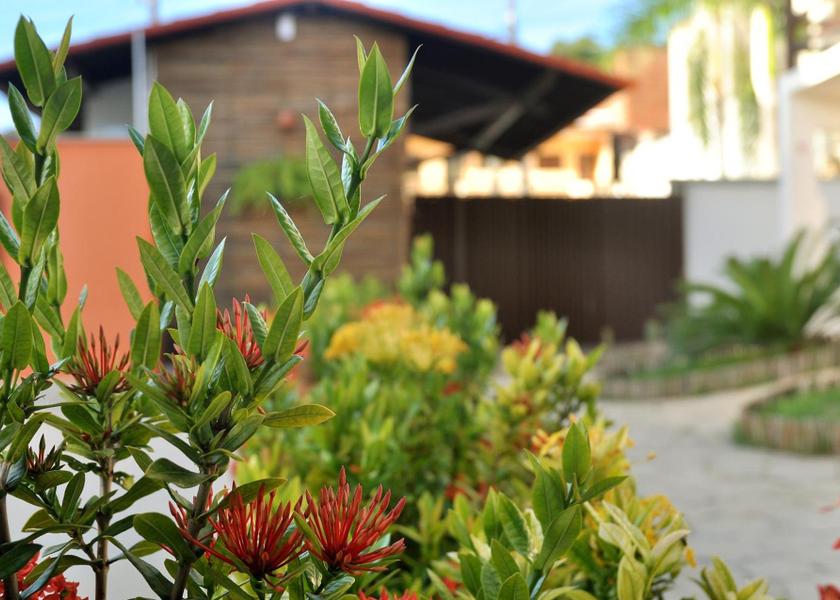 Rio Grande do Norte Natal Garden