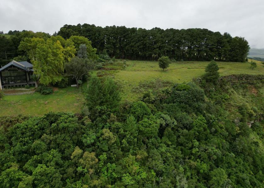 KwaZulu-Natal Cathkin Park Garden