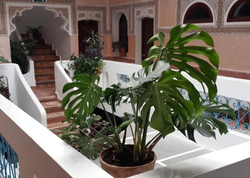 Tanger-Tetouan-Al Hoceima Martil 