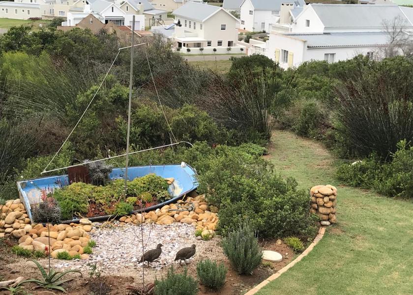 Western Cape Still Bay 
