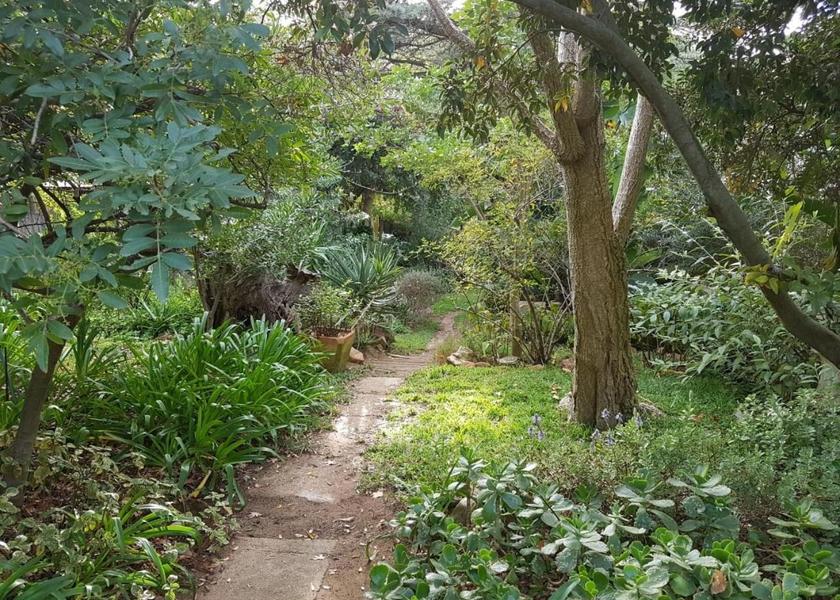 Western Cape Riebeeck West Garden