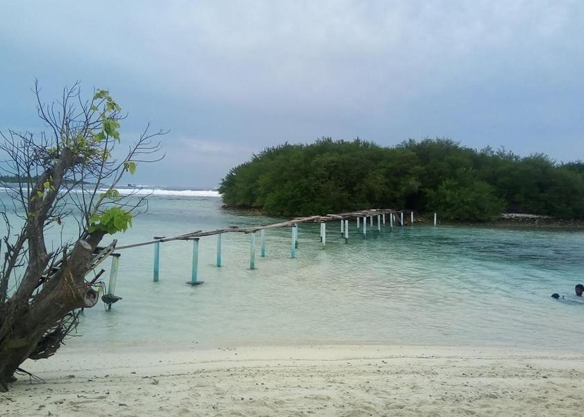 Kaafu Atoll Thulusdhoo Island Beach