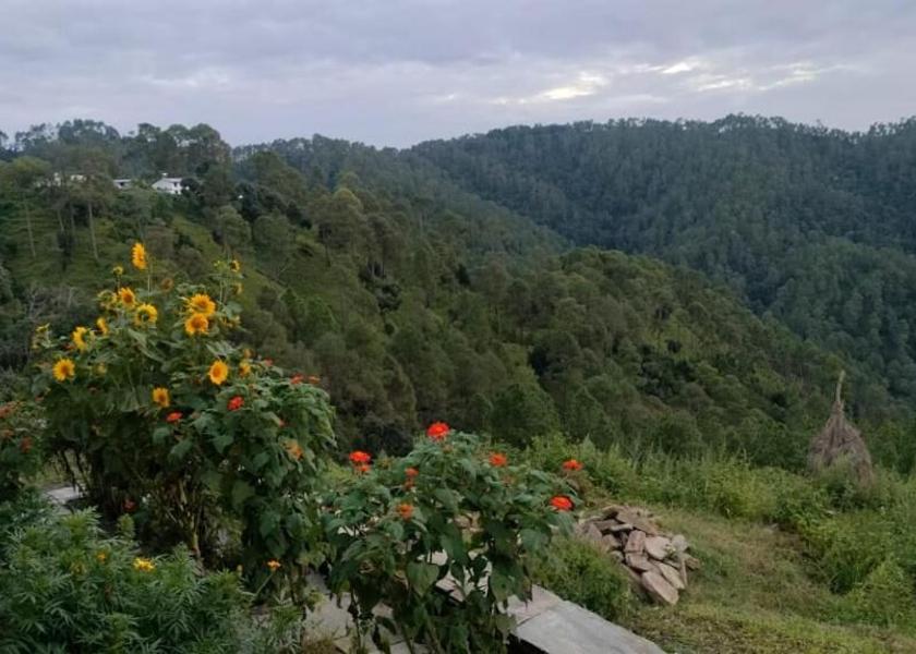 Uttarakhand Binsar Hotel View