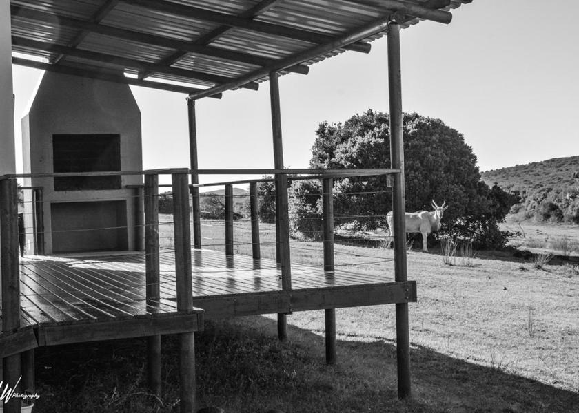 Western Cape Jongensfontein 