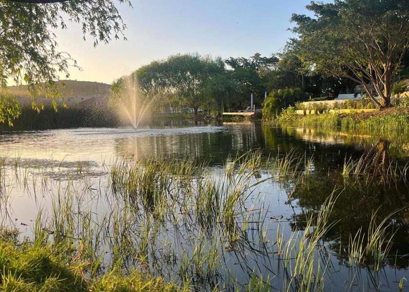 Western Cape Plettenberg Bay Garden