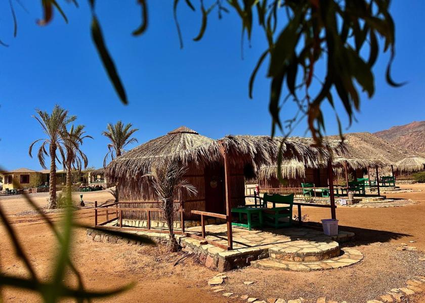 South Sinai Governorate Nuweiba 