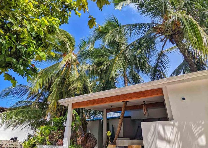 Kaafu Atoll Thulusdhoo Island Exterior view