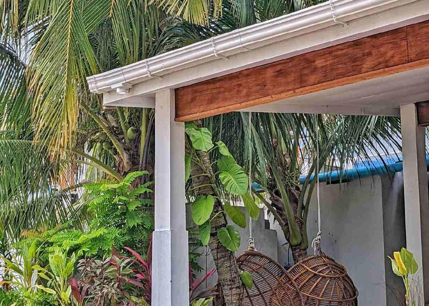 Kaafu Atoll Thulusdhoo Island Exterior view