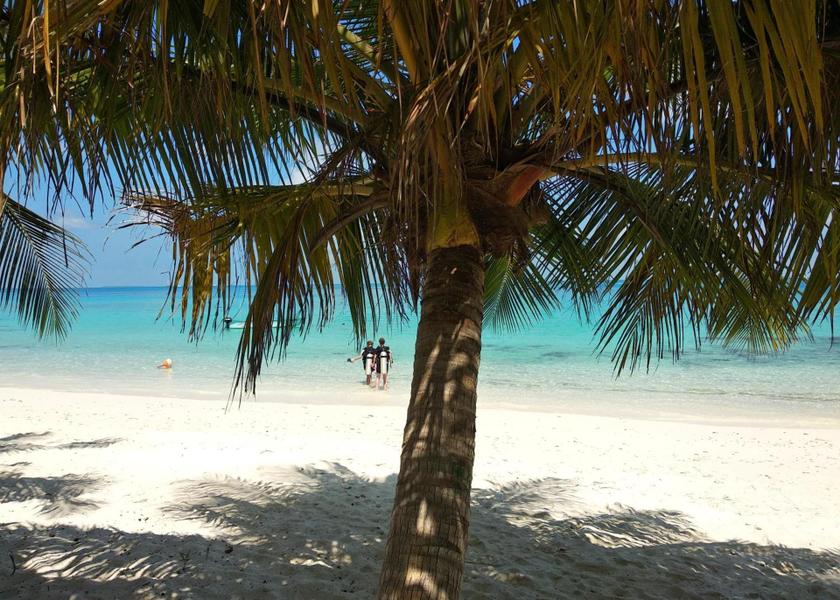 South Ari Atoll Dhigurah 