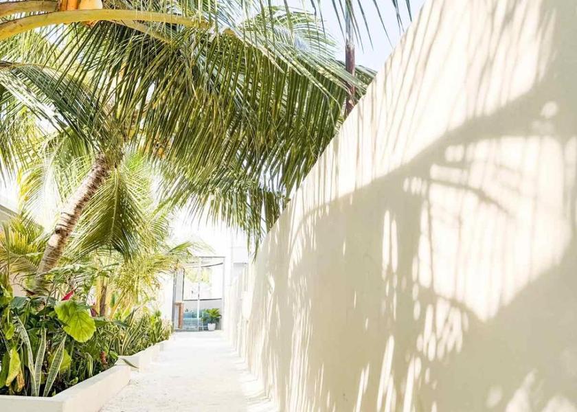 South Ari Atoll Dhigurah Exterior view