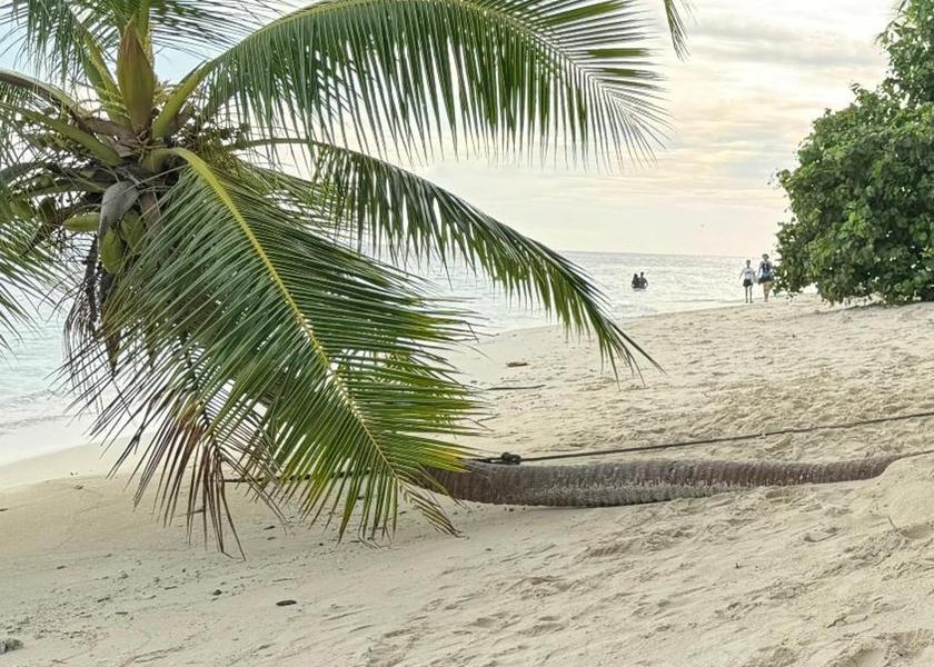 Surrounding environment