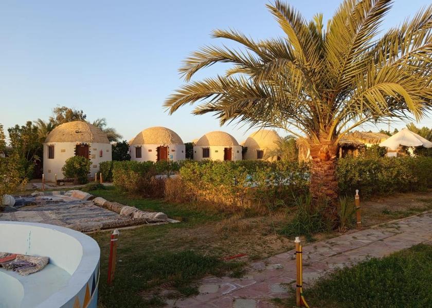 Matrouh Governorate Siwa 